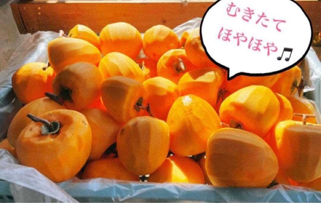 限定5セット★Xmasセール★甲州百目柿枯露柿 9個と12個入✖️2箱 計3箱