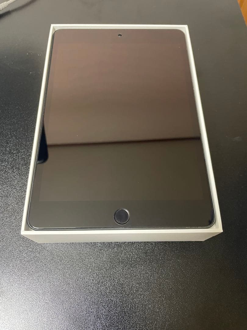 Apple iPad mini 256GB Wi-Fi 超美品