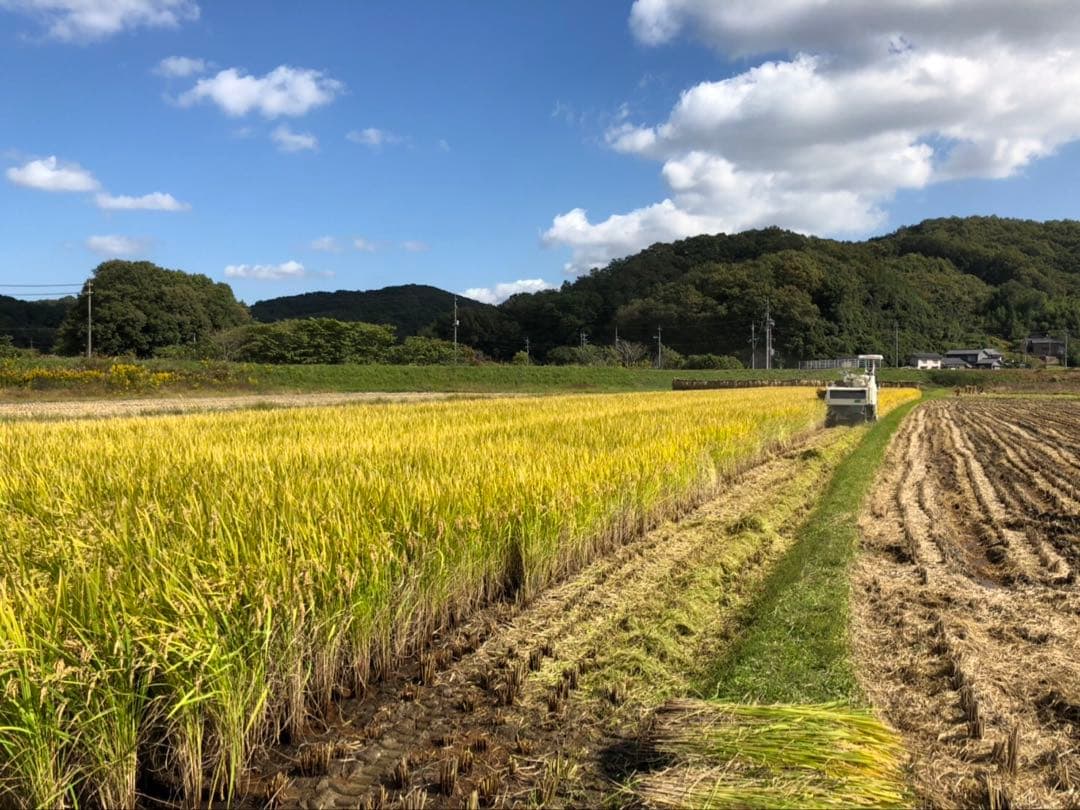 農家直送の美味しいお米 令和7年度産 ヒノヒカリ 20キロ