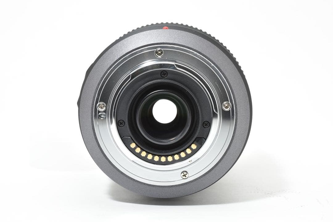 レンズ(ズーム) LUMIX VARIO 100-300mm 1:4-5.6 MEGA O.I.S