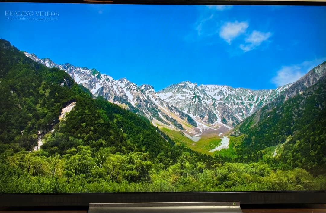 新品未使用リモコン付き 東芝 レグザ 55BZ710X 付き