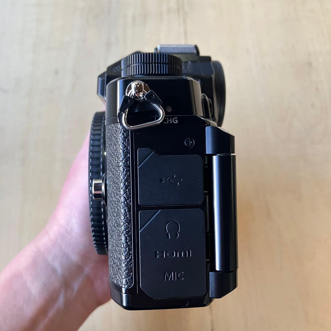 2025年8月購入 撮影枚数686枚 NIKON ZF おまけ付き