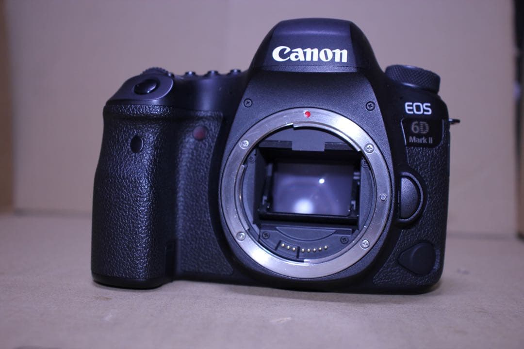 一眼レフカメラ/Canon EOS 6D Mark IIレンズセット