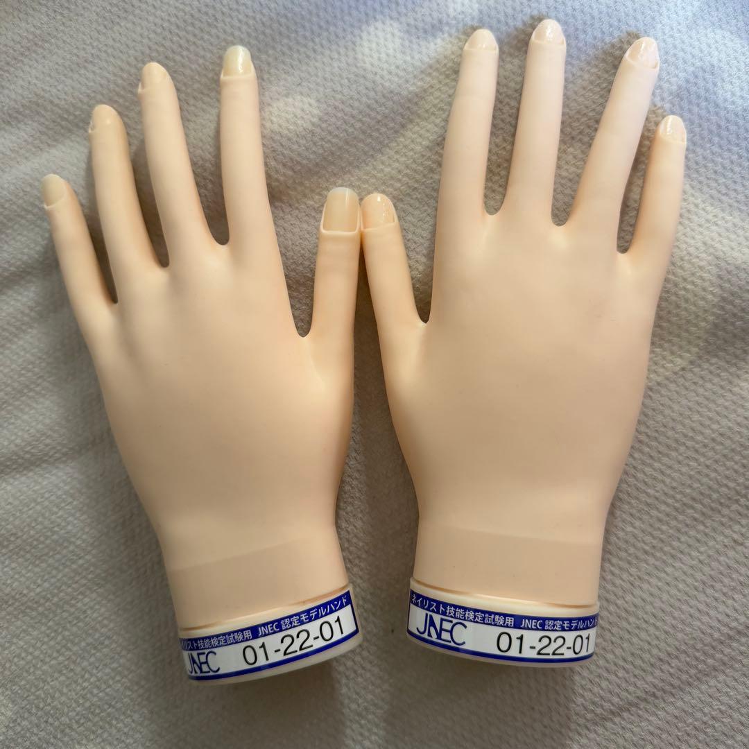 【箱無し】ネイリスト技能検定試験 JNEC認定モデルハンド セット