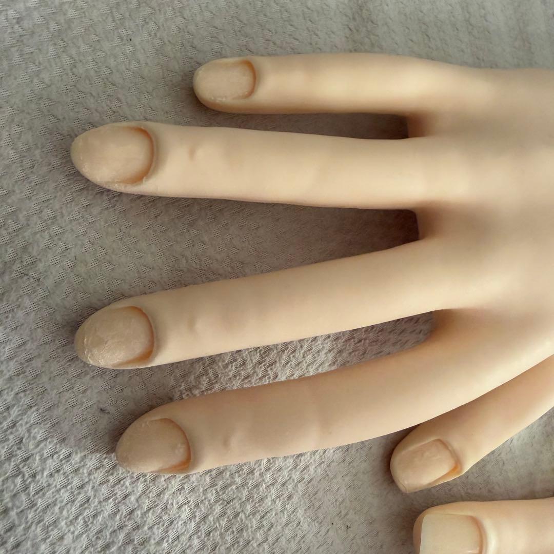 【箱無し】ネイリスト技能検定試験 JNEC認定モデルハンド セット