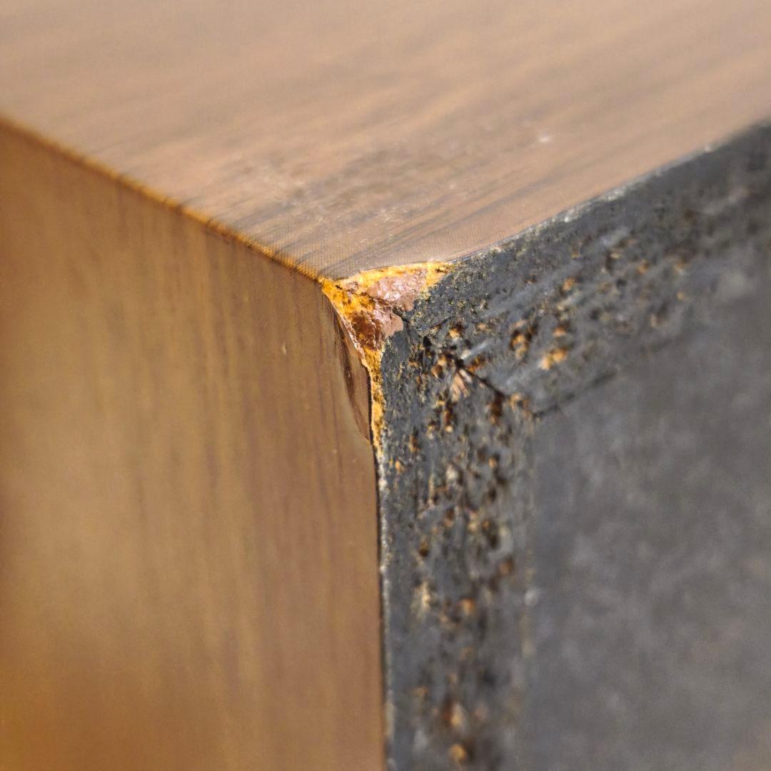 DIATONE DS-G20 ユニット ＋ DS-300V エンクロージャー