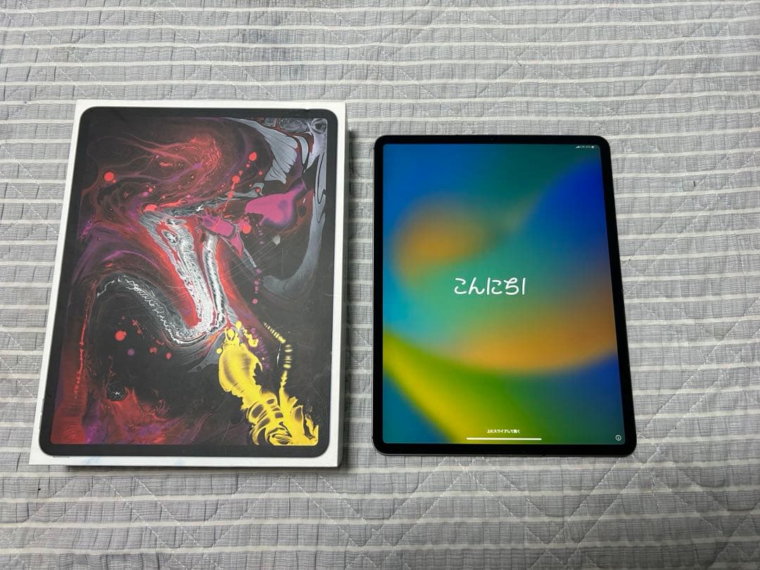 iPad Pro 12.9 256GB Wi-Fi + Cellularモデル
