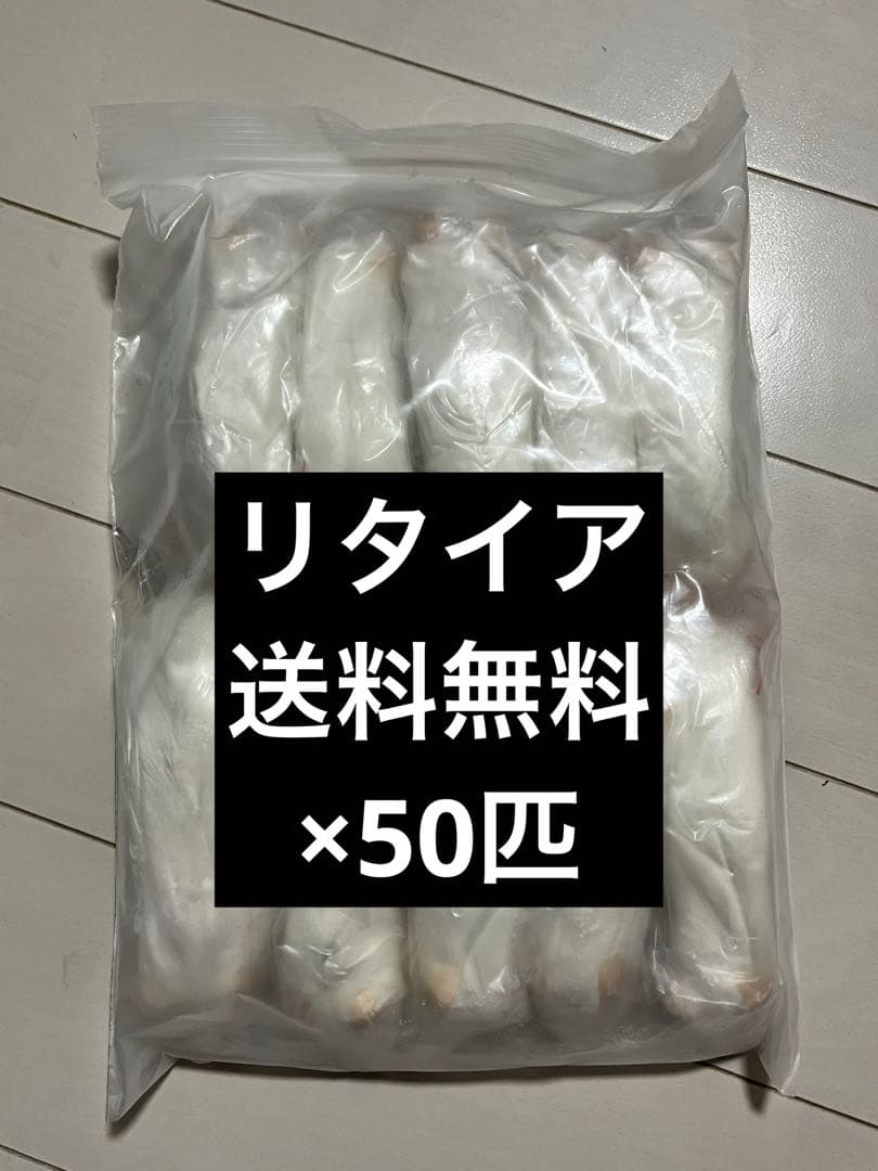 冷凍マウス　リタイア50