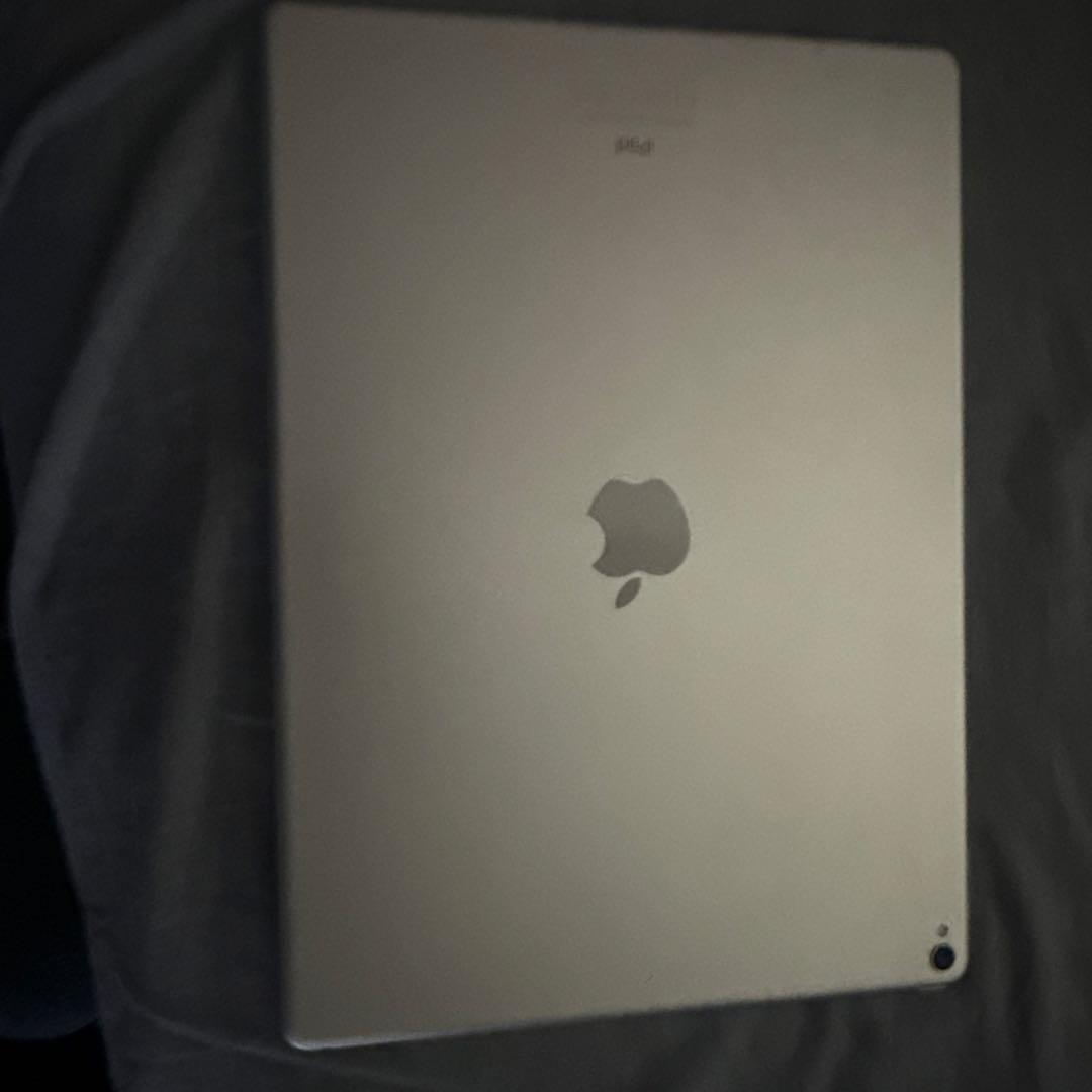 iPad Pro 12.9インチ (第2世代) 256GB