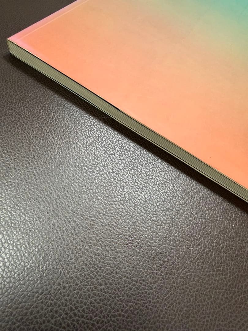 Paintings By Masami Teraoka 浮世絵　画集