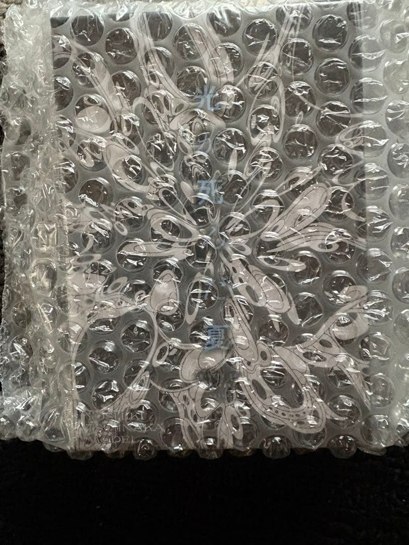 onkyo イヤホン 辻中佳紀　新品未開封　光が死んだ夏