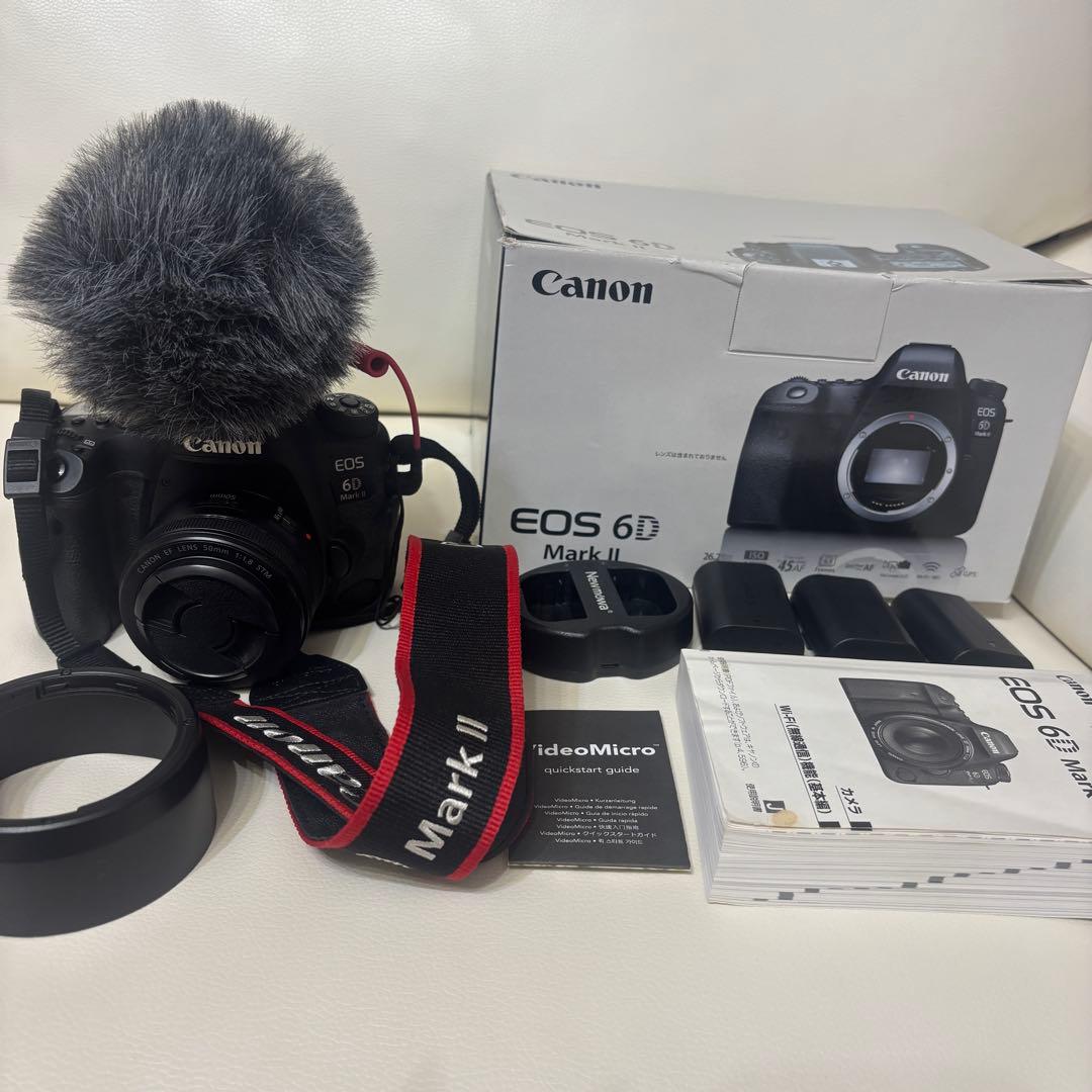 【マイク付き】CANON EOS 6D Mark IIボディ＆レンズ