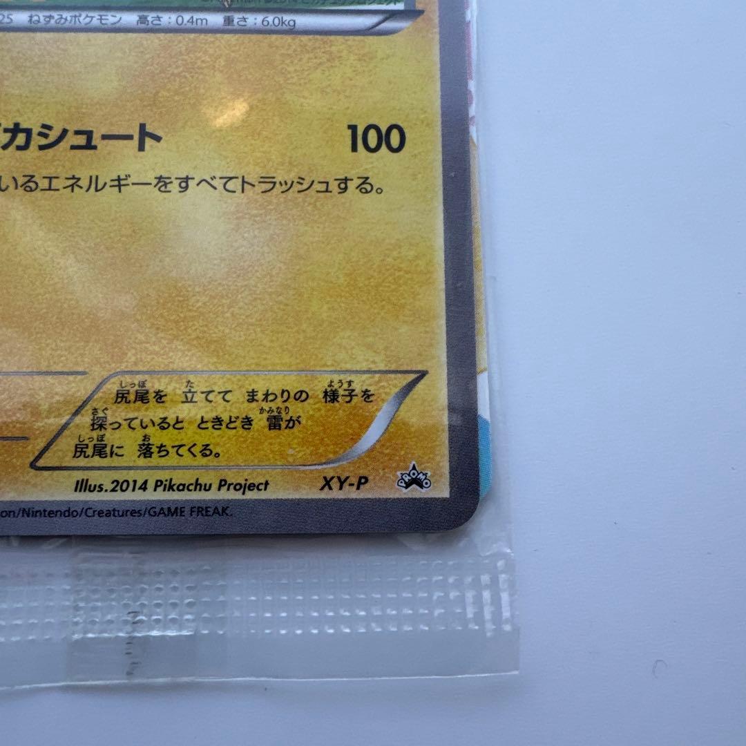 【未開封】ピッチのピカチュウ　ピカシュート　プロモ　XY-P