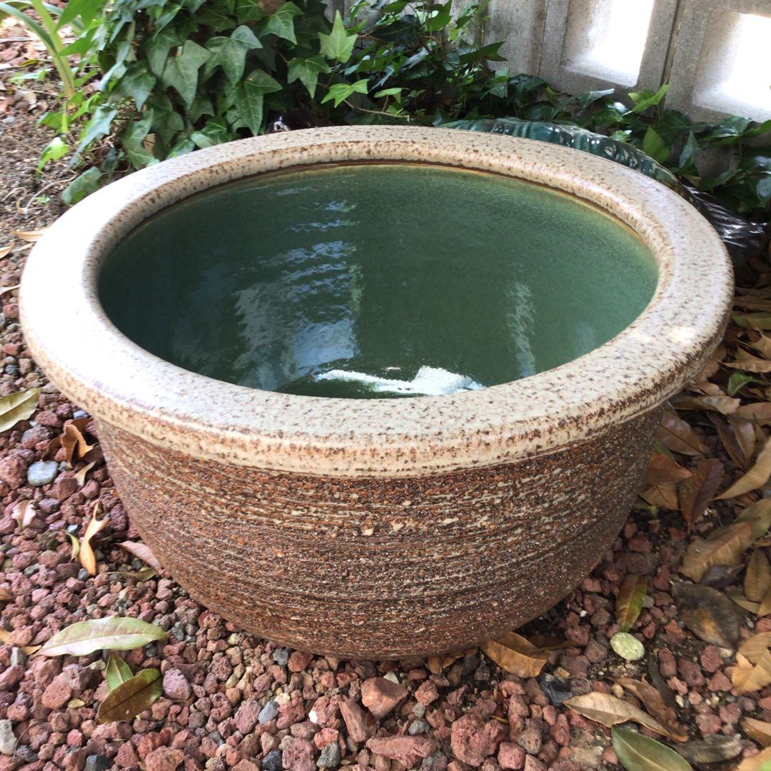 信楽焼　めだか鉢　睡蓮鉢　ビオトープ43.5cm