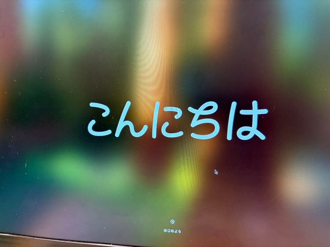 Mac mini M2 16GB/256GB MMFJ3JA(CTOモデル)