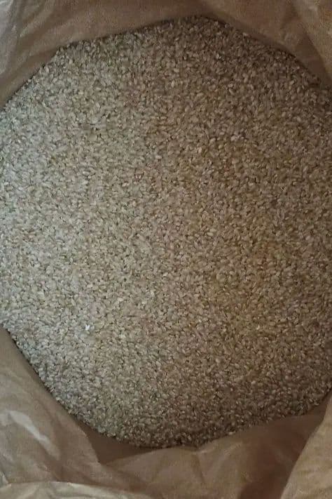 令和7年 岡山県産 玄米 17kg コシヒカリ 送料無料 ①