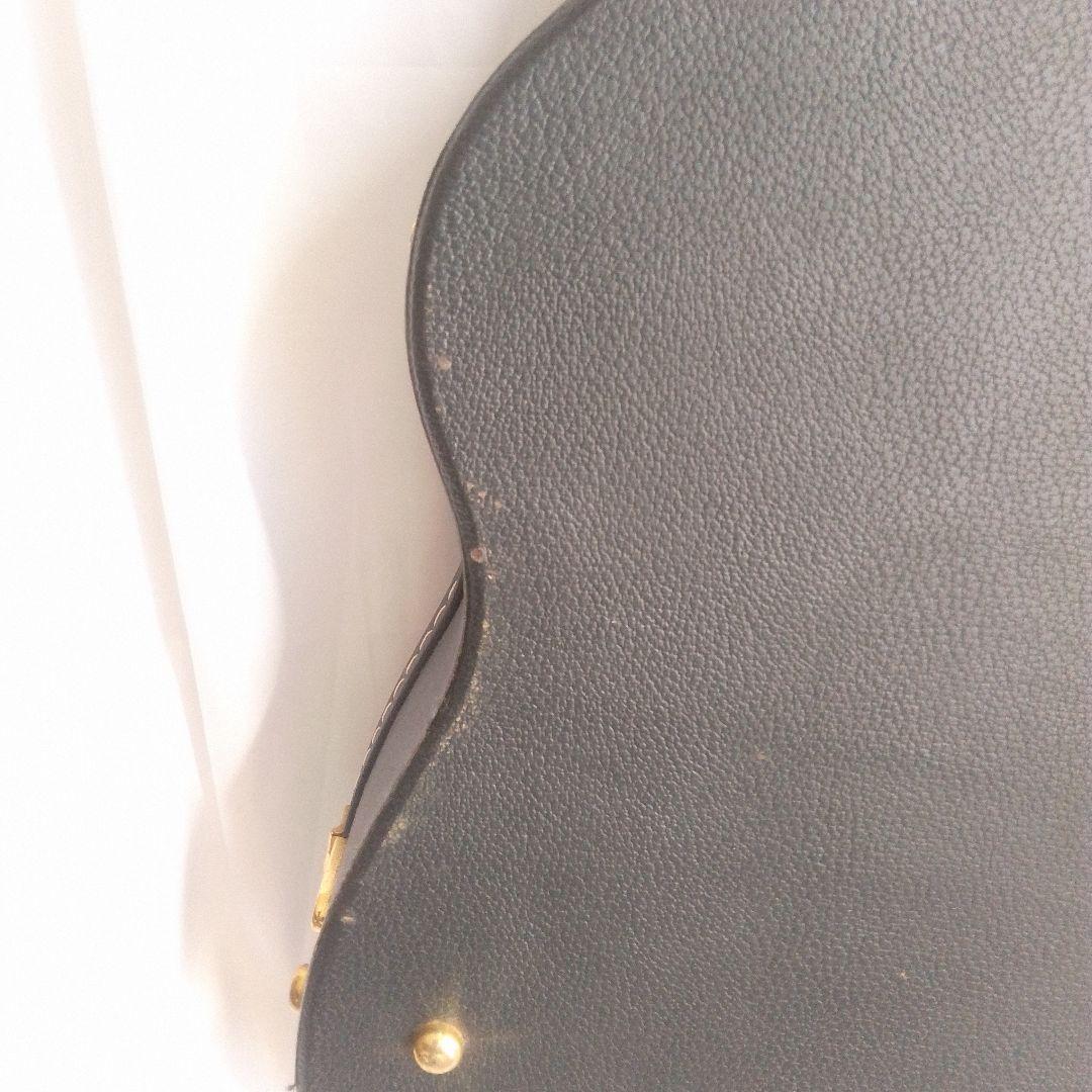 Recording King RO-27 アコースティックギター ケース付き