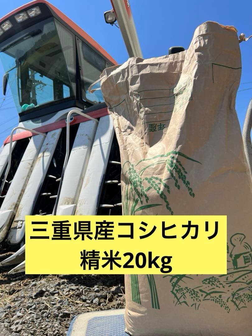 令和7年産　三重県産コシヒカリ　精米白米20kg