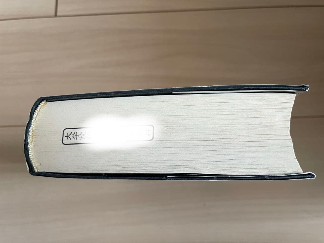 ポケモン ストーリー POKEMON STORY 畠山けんじ•久保雅一/著