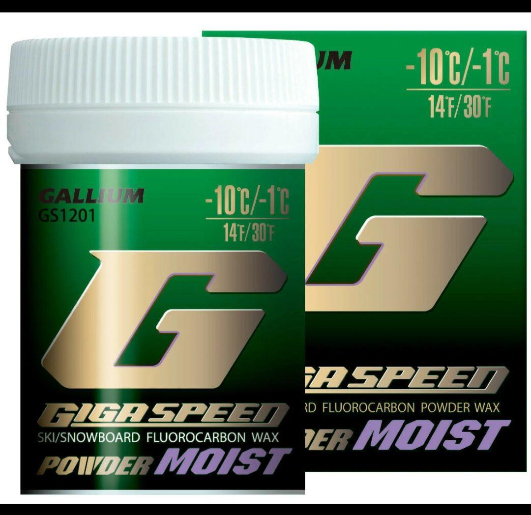スキー GALLIUM GIGA SPEED GS1201