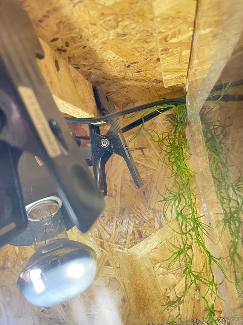 【新色】爬虫類 小動物 ケージ　cage DIY 飼育かご