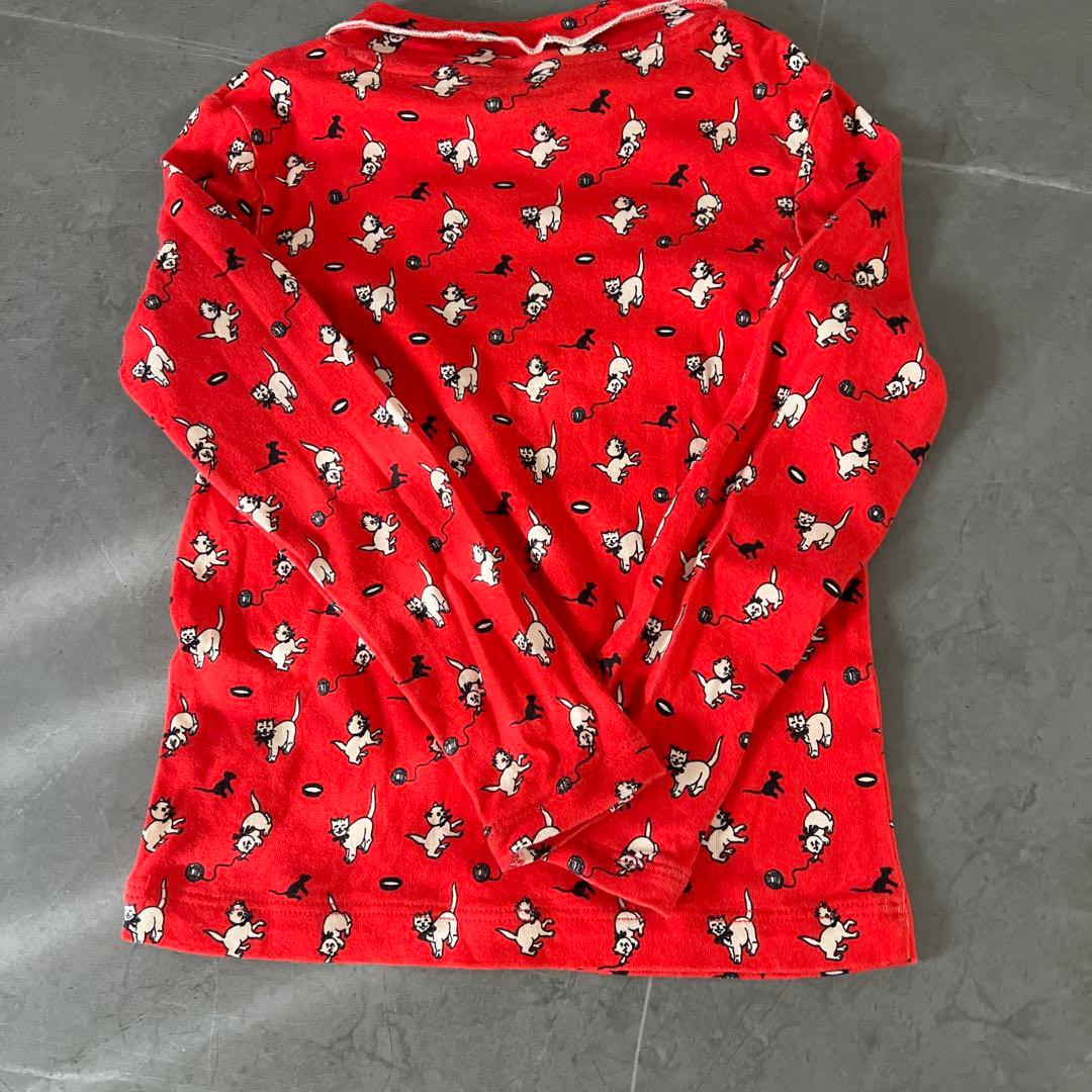 Misha & Puff 赤猫　6y