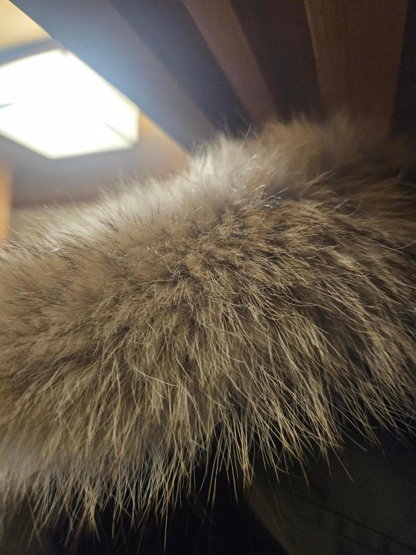 【正規美品】  カナダグース ジャスパー ダウンジャケット