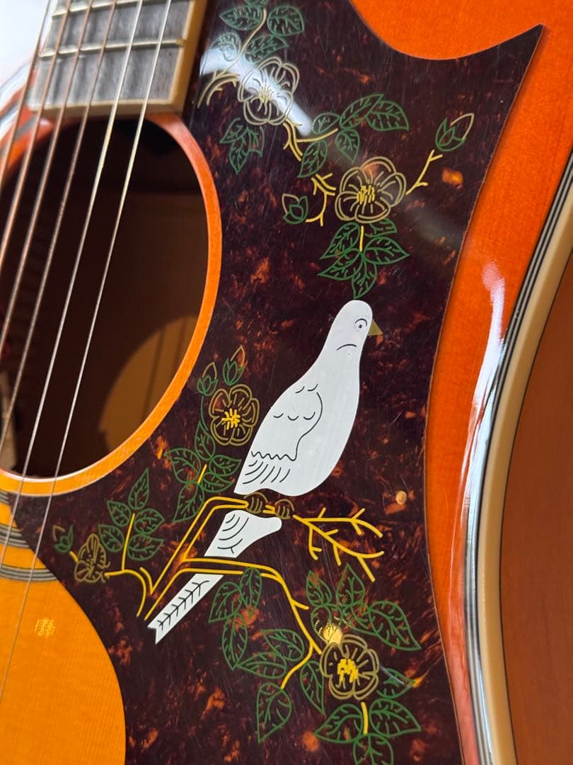 Epiphone Dove Pro エレアコ 即発送