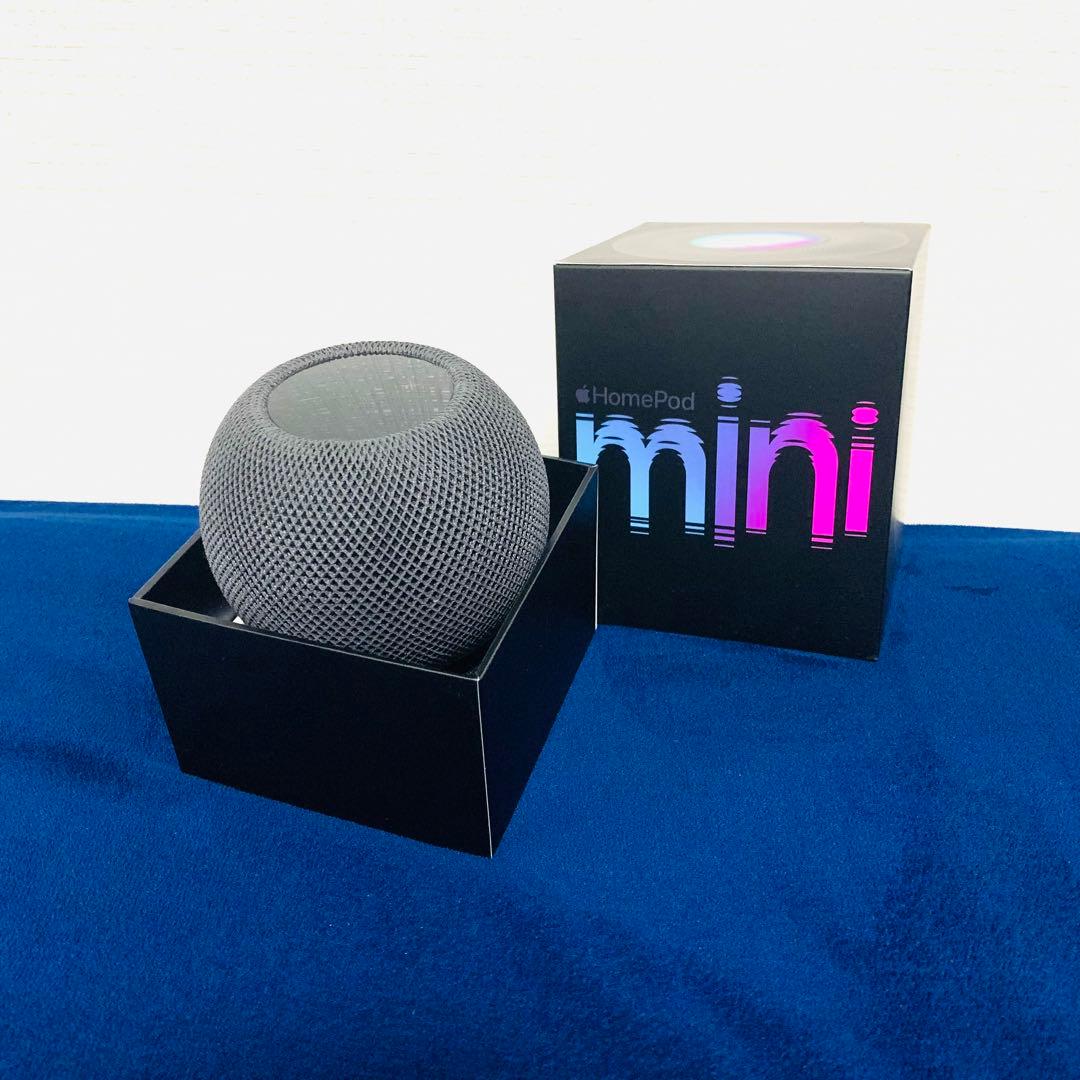 美品 Pod mini - スペースグレイ スピーカー