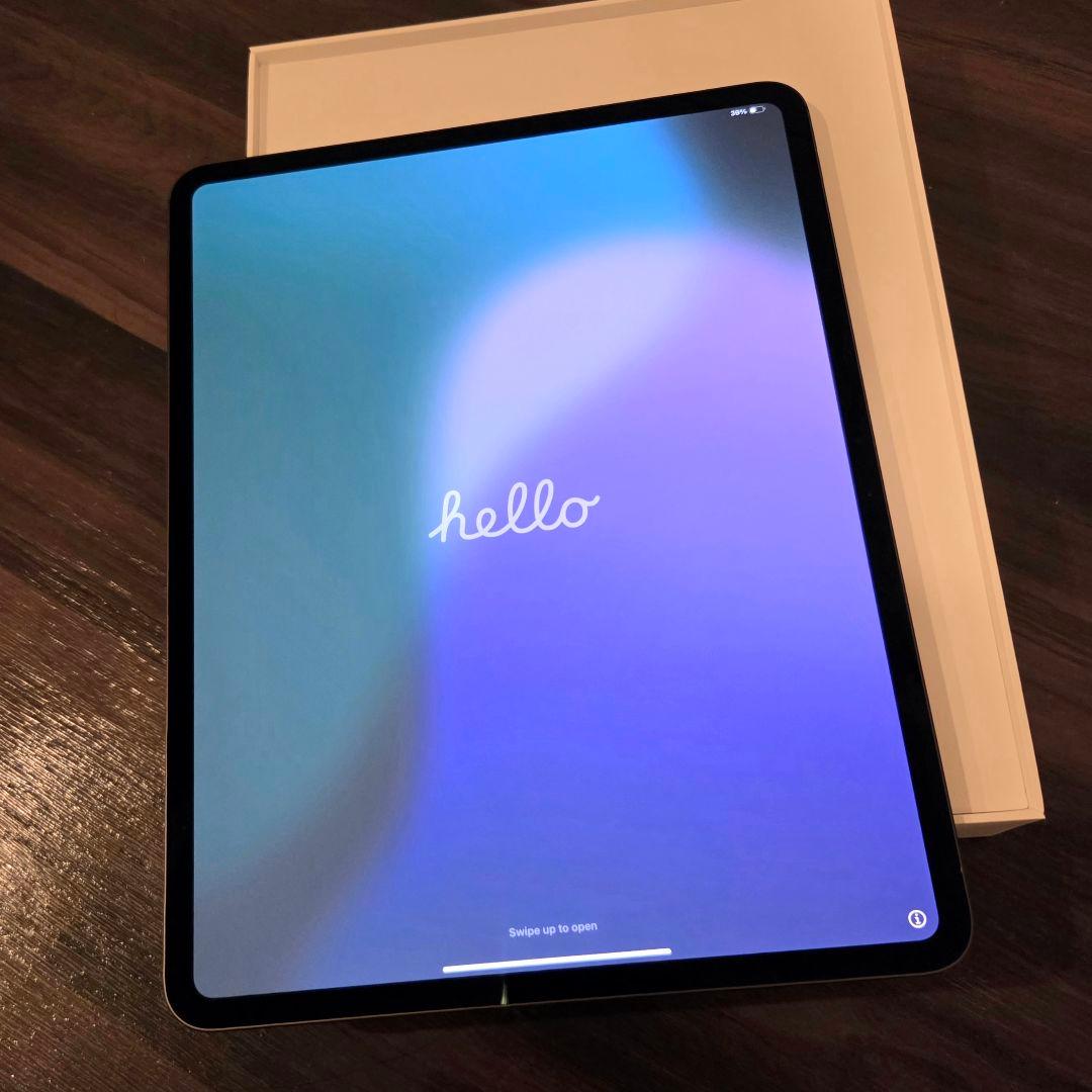 狸tampocon美品！iPad Pro&Apple Pencil Pro