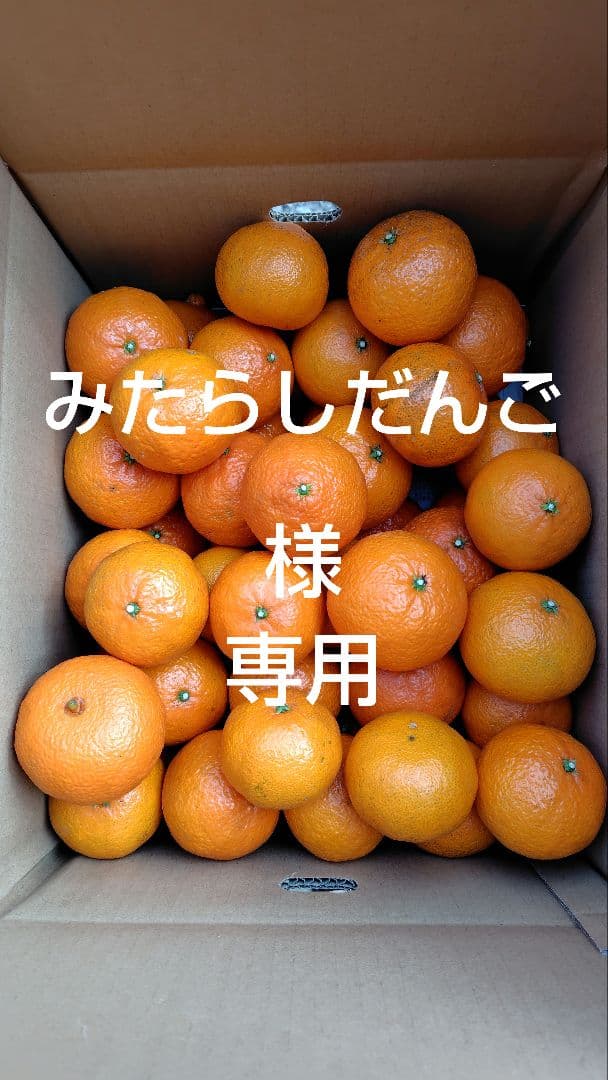 津之輝20㎏(家庭用)みたらしだんご#1