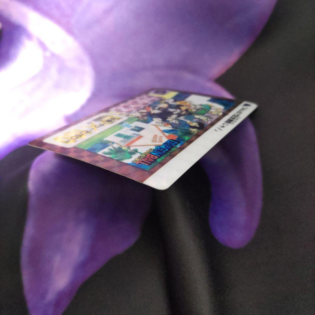 ☆ドラゴンボール☆カードダス☆B-①孫悟空☆B-②カメハウスの仲間☆2枚セット☆