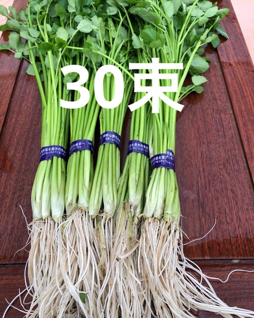 せり　30束