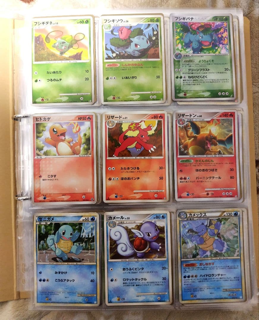 ポケモン 図鑑 コンプリートファイル