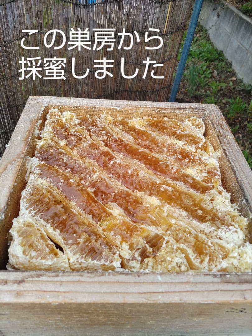 新蜜　日本ミツバチの百花蜜（１年物）㊷　550ｇ✕4本（2.2㎏）