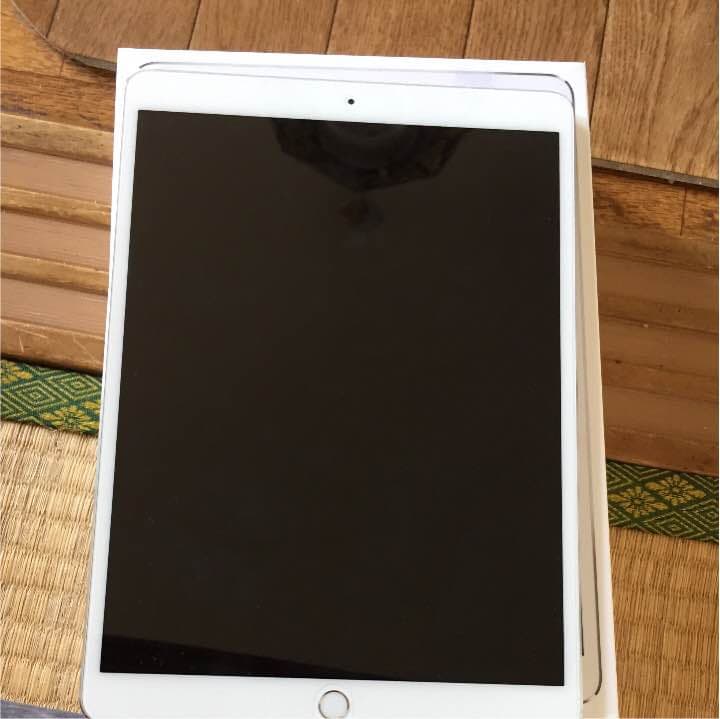 iPad本体 iPad