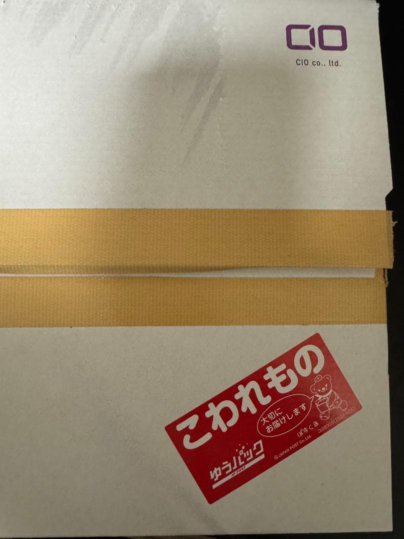 【未使用】CIO SMARTCOBY Pro PLUGⅡ 67W3C