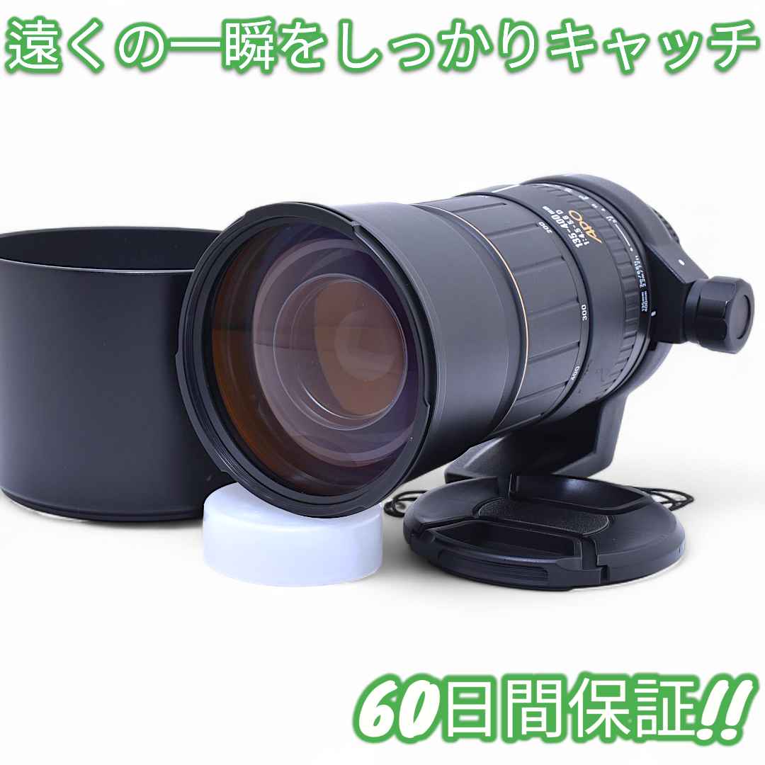 美品 Sigma APO 135-400mm F4.5-5.6 D Nikon