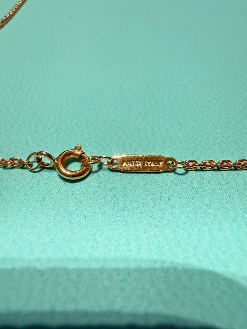 Tiffany & Co. ハードウェア　細長リンクネックレス　PG