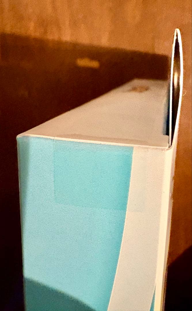 ポケモンカードゲーム ムニキスゼロ未開封BOX4＋メガエルレイドex1個