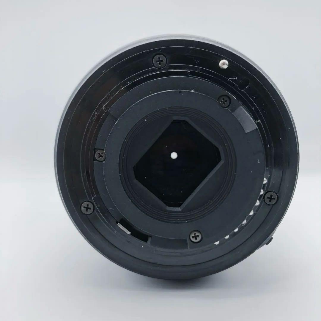 Nikon AF-P 70-300mm f/4.5-6.3G ED VR 望遠