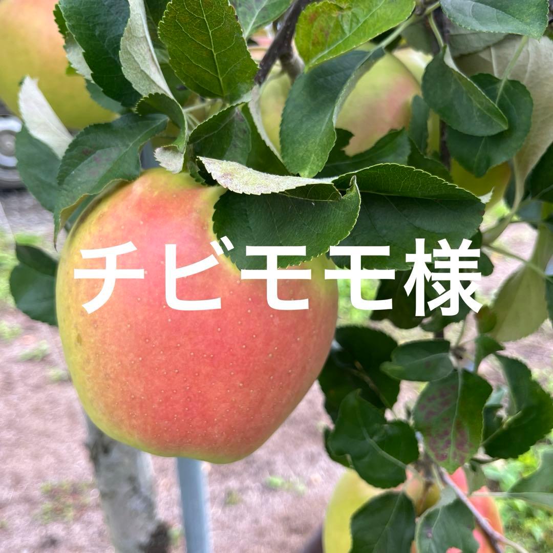 チビモモページ✨10kg