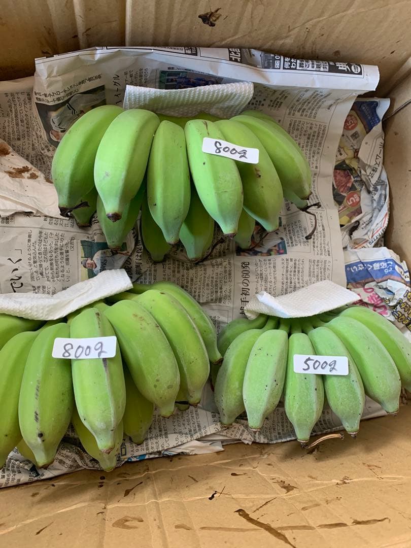 ちさと様　ご予約