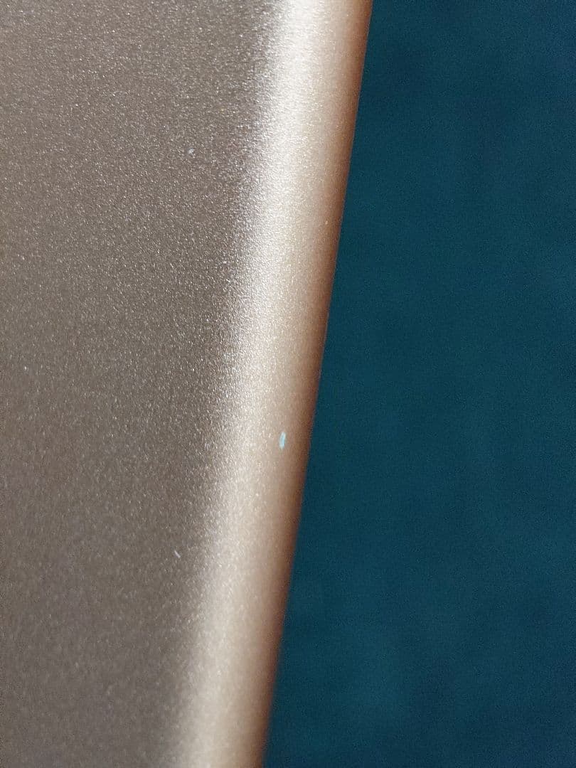 iPad本体 Apple iPad mini5 64GB GOLD