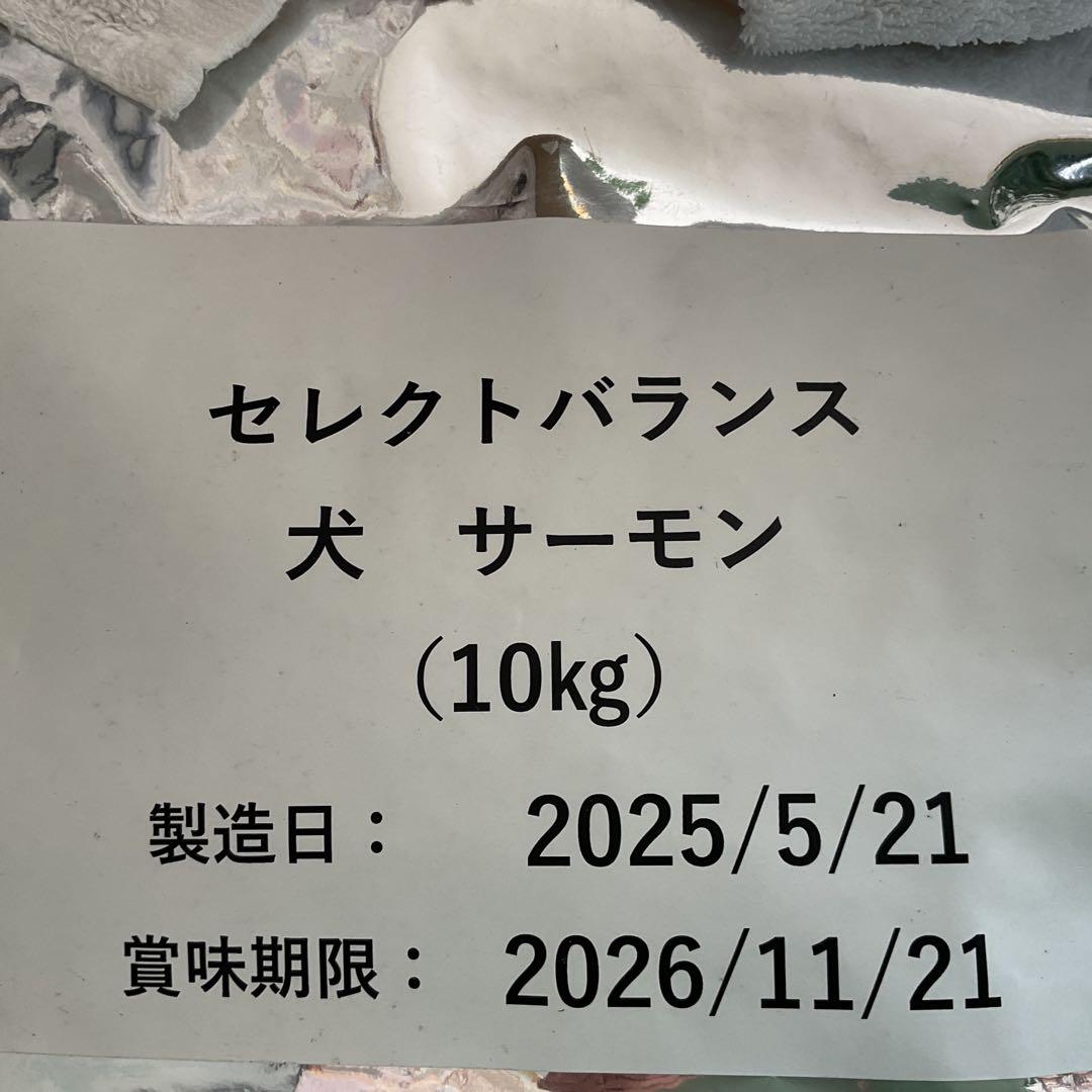 セレクトバランス　グレインフリーサーモン10kg