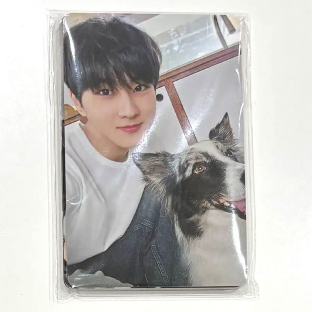 ENHYPEN アンケートトレカ トレカ FC 限定