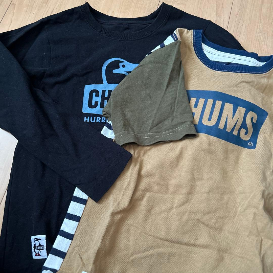 チャムスおまとめ6枚