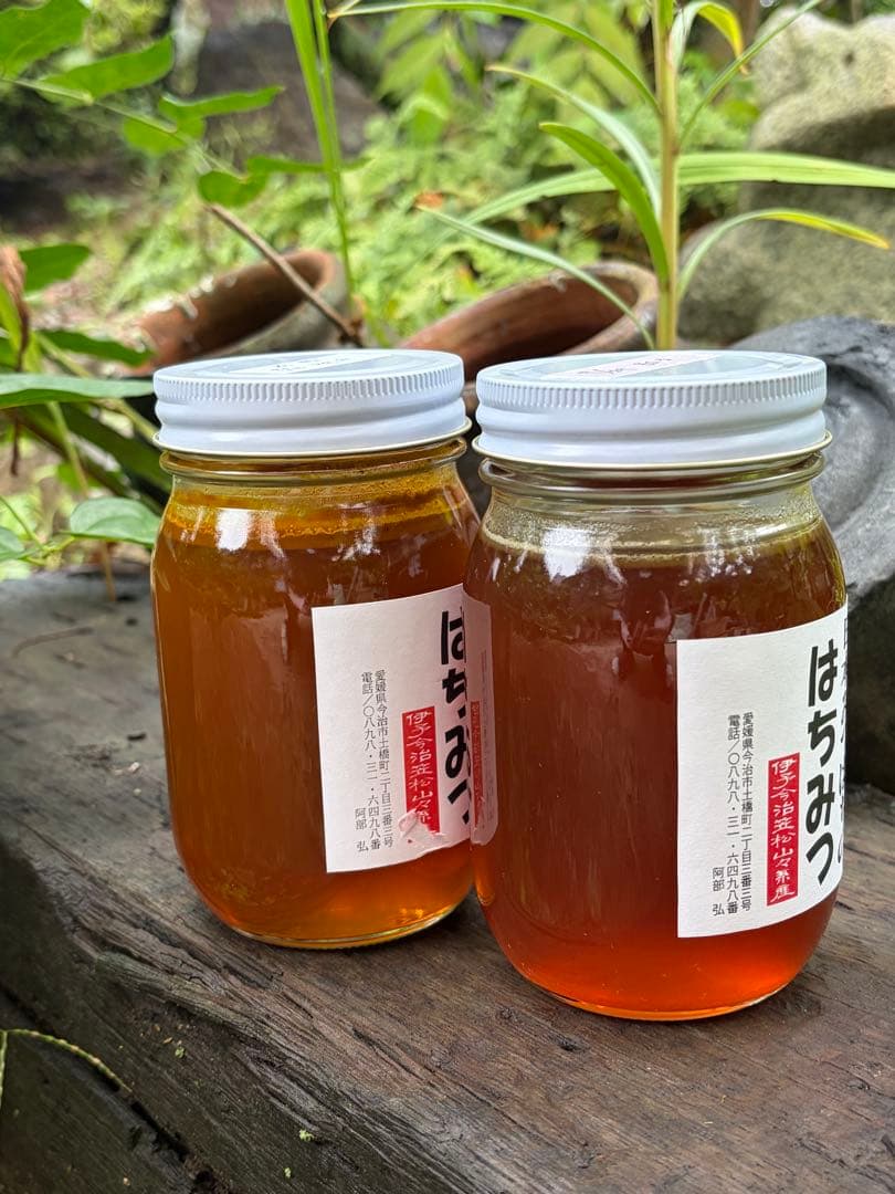 はちみつ　日本蜜蜂のハチミツ　奥山の奥の蜂蜜と花粉入りハチミツ