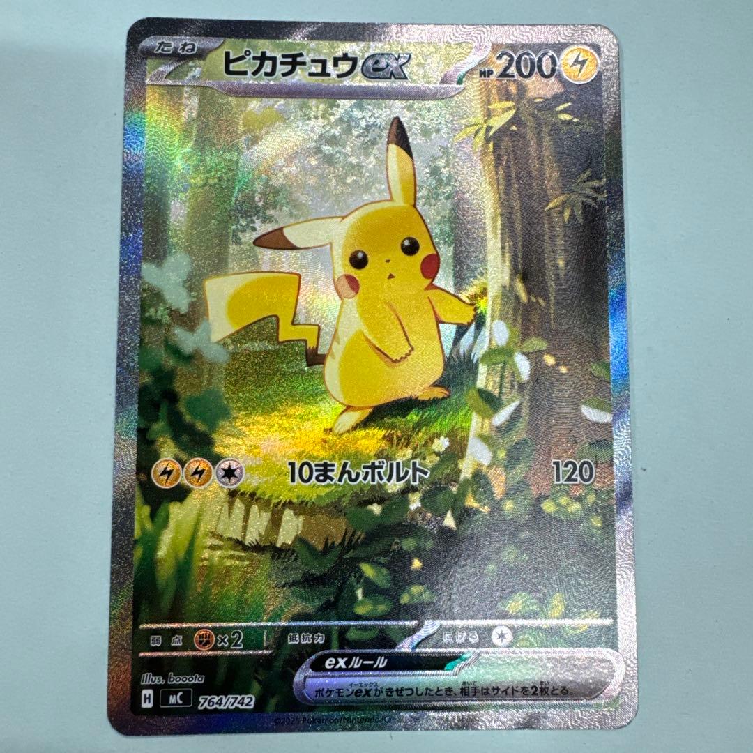 ピカチュウ　管理番号T24