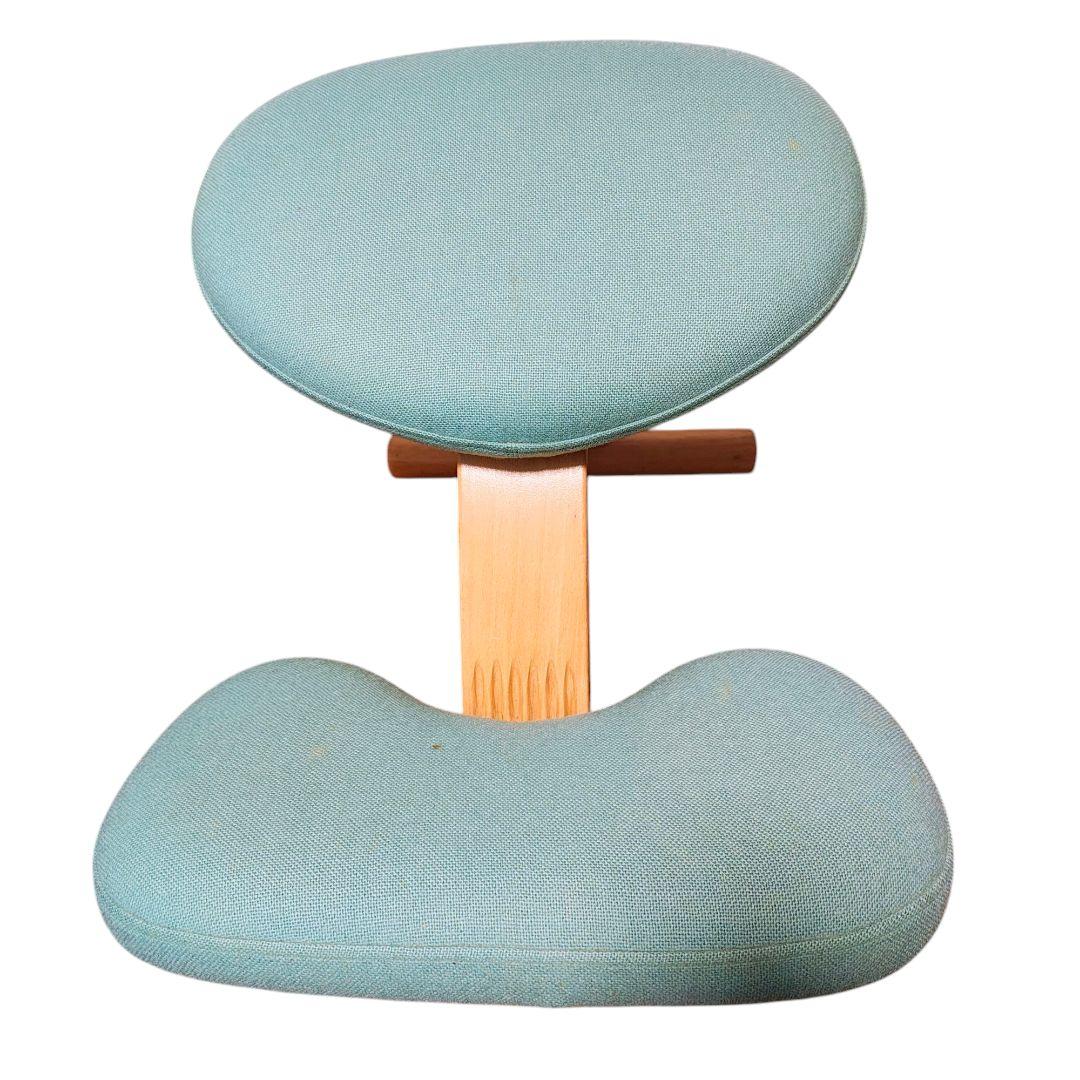 【送料無料】バランスラボ (旧サカモトハウス) バランスチェア